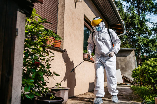 Best Mosquito Control Services  in Palm Beach Shores, FL