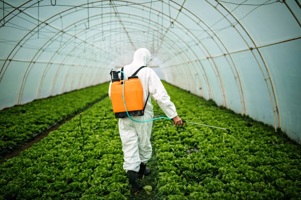 Best Pest Removal Services  in Palm Beach Shores, FL