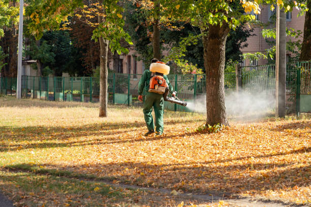 Professional Pest Control in Palm Beach Shores, FL