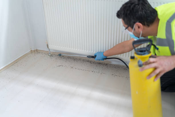 Best Emergency Pest Control  in Palm Beach Shores, FL